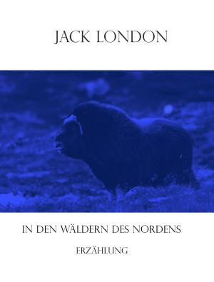 Cover of the book In den Wäldern des Nordens by Tanja Wahle