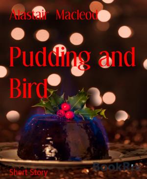 Cover of the book Pudding and Bird by Danny Wilson