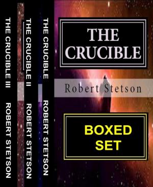 Cover of the book THE CRUCIBLE BOXED SET by Ewa Aukett