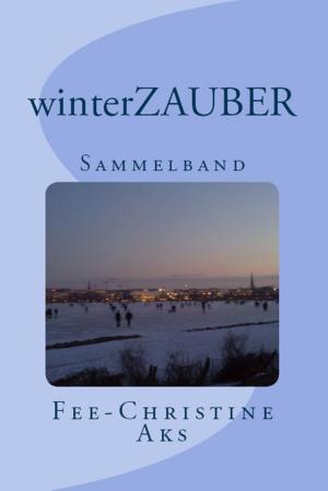 Cover of the book winterZAUBER by Andrea Pirringer