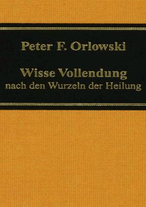 Cover of the book Wisse Vollendung by Amelie Kunze, Fabian Reichel, Marcel Wissing