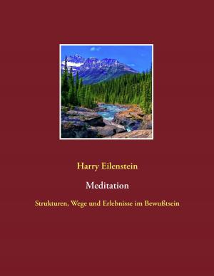 Cover of the book Meditation by Klaus Piontzik, Claude Bärtels