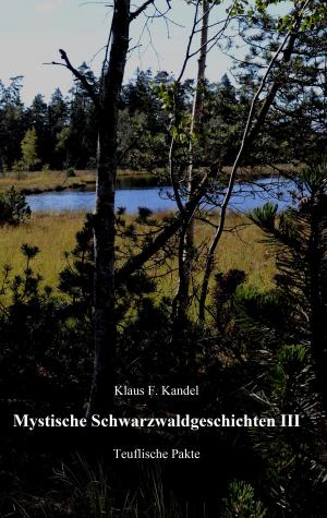 Cover of the book Mystische Schwarzwaldgeschichten III by 