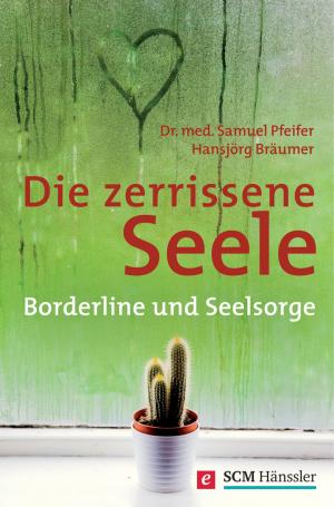 Cover of the book Die zerrissene Seele by Markus Spieker