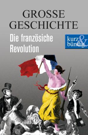 Cover of the book Die französische Revolution by Niklas Holzberg