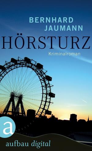Cover of the book Hörsturz by Wilhelm  von Sternburg