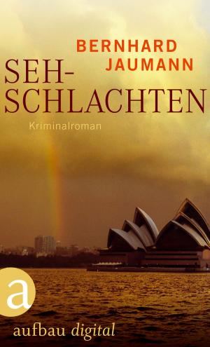 Cover of the book Sehschlachten by Jocelyne Allen