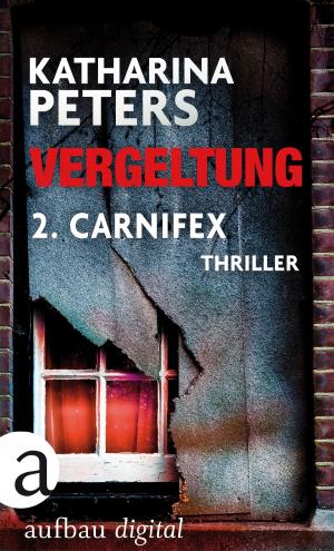 Book cover of Vergeltung - Folge 2