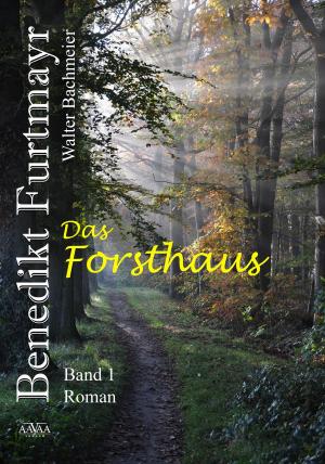 Cover of the book Benedikt Furtmayr (1) by Denis Atuan