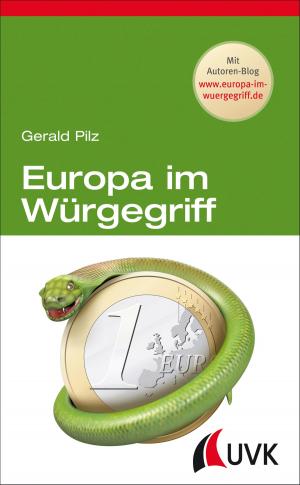 Cover of the book Europa im Würgegriff by Stephan Moebius, Bernt Schnettler