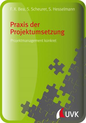 Cover of the book Praxis der Projektumsetzung by Wilhelm Schmeisser, Mouna Zitawi