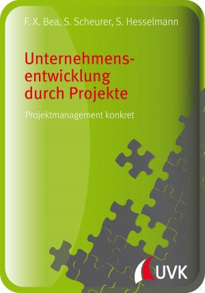 Book cover of Unternehmensentwicklung durch Projekte