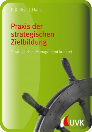 Book cover of Praxis der strategischen Zielbildung
