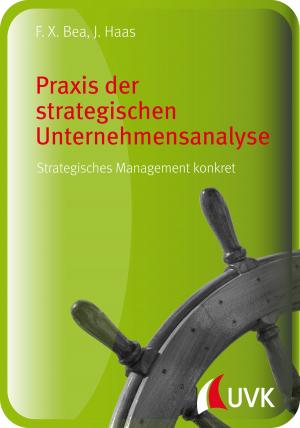Book cover of Praxis der strategischen Unternehmensanalyse