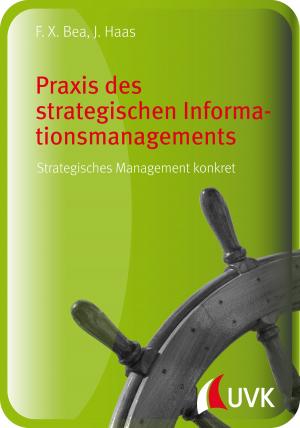 Book cover of Praxis des strategischen Informationsmanagements