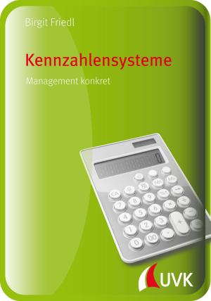 Cover of the book Kennzahlensysteme by Achim Dunker