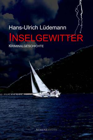 Cover of Inselgewitter