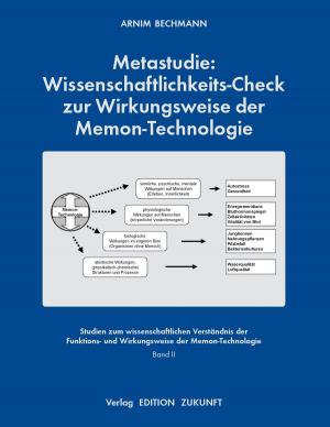Book cover of Metastudie: Wissenschaftlichkeits-Check zur Wirkungsweise der Memon-Technologie