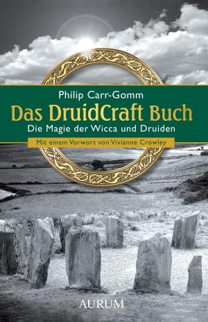 Book cover of Das DruidCraft Buch