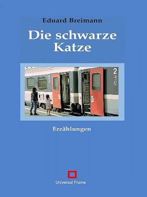 Book cover of Die schwarze Katze