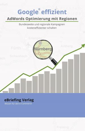 Cover of the book Google effizient: AdWords Optimierung mit Regionen by Hanna Raskin
