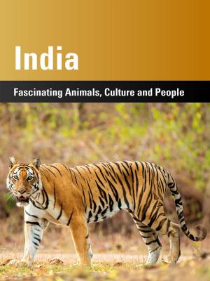 Cover of the book India by Stephan Weaver