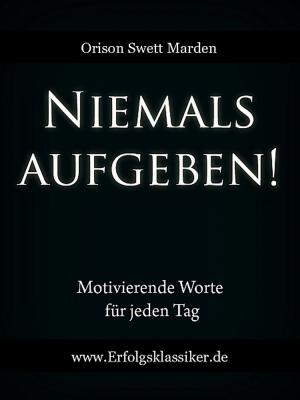 Cover of the book Niemals aufgeben! by James Franklin