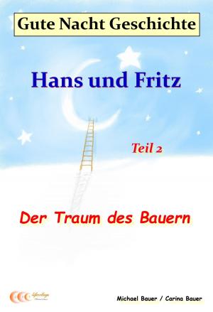 Book cover of Gute-Nacht-Geschichte: Hans und Fritz - Der Traum des Bauern