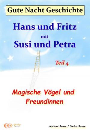 Book cover of Gute-Nacht-Geschichte: Hans und Fritz mit Susi und Petra - Magische Vögel und Freundinnen