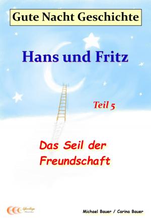 Book cover of Gute-Nacht-Geschichte: Hans und Fritz - Das Seil der Freundschaft