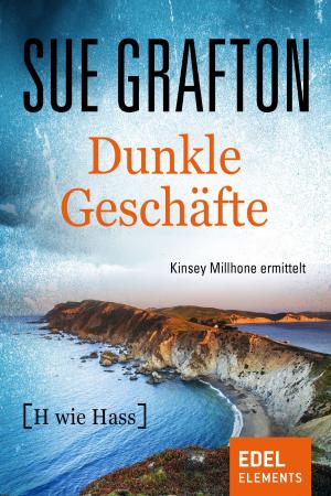 Book cover of Dunkle Geschäfte