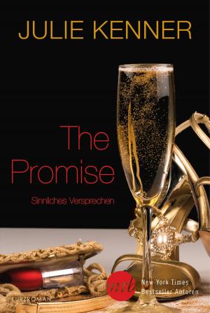 Cover of the book The Promise - Sinnliches Versprechen by Jessie Krowe