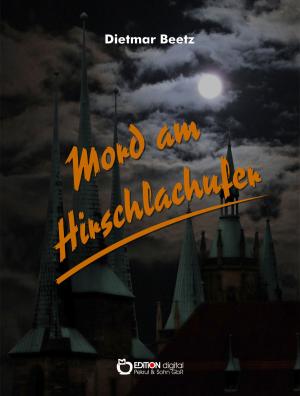 Cover of the book Mord am Hirschlachufer by Brigitte Birnbaum