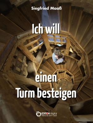 Cover of the book Ich will einen Turm besteigen by Wolfgang Schreyer