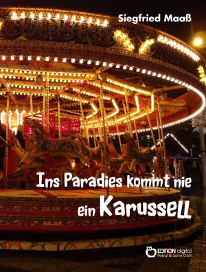 Cover of the book Ins Paradies kommt nie ein Karussell by Wolf Spillner