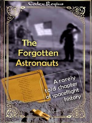 Cover of the book The Forgotten Astronauts by Carola van Daxx