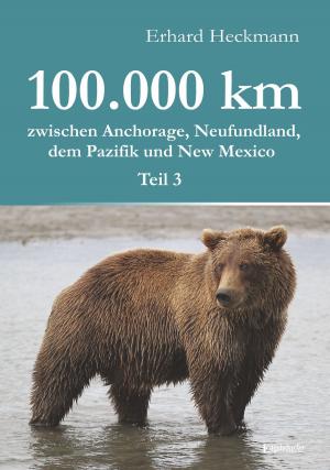 Cover of the book 100.000 km zwischen Anchorage, Neufundland, dem Pazifik und New Mexico - Teil 3 by Hannes Mie
