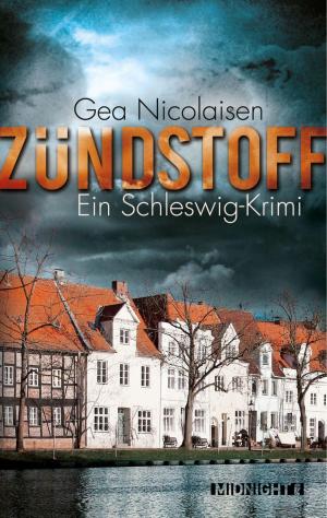 Cover of the book Zündstoff by Daniela Gesing