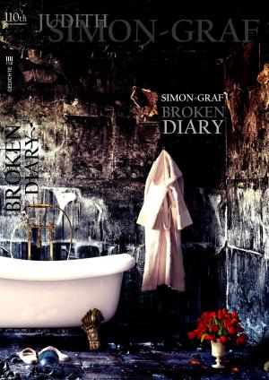 Cover of the book Broken Diary by Leila Emami