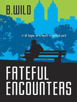 Cover of the book Fateful Encounters by Luka Peters