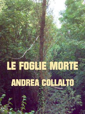 bigCover of the book Le Foglie Morte by 