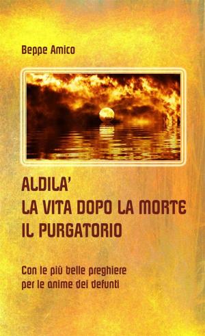 Book cover of ALDILA’ – la vita dopo la morte - IL PURGATORIO