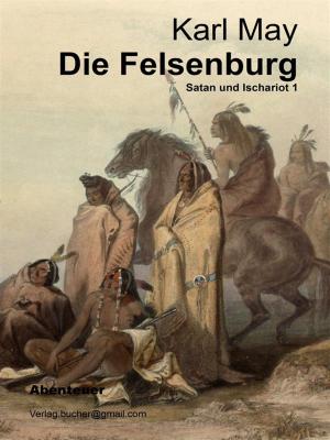 Cover of the book Die Felsenburg by Steve Turnbull