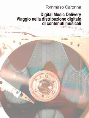 Cover of the book Digital Music Delivery. Viaggio nella distribuzione digitale di contenuti musicali by C. Stephen Weaver