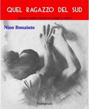 Book cover of Quel ragazzo del Sud
