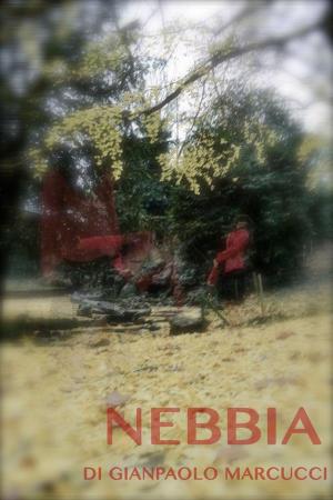 Book cover of Nebbia