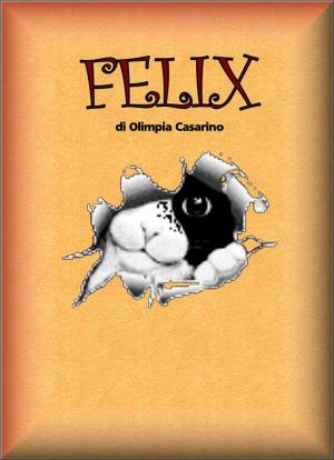 Cover of the book Felix by KC Green