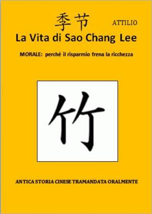 bigCover of the book La Vita di Sao Chang Lee by 