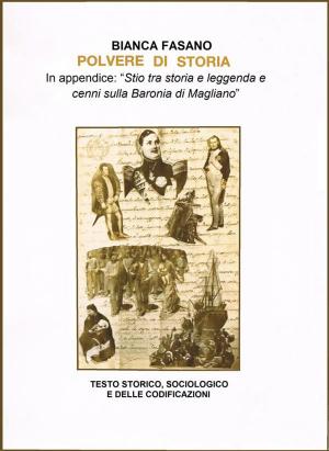Book cover of Polvere di storia