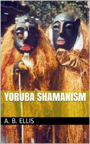 Book cover of Yoruba shamanism